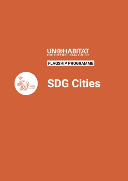 Flagship Programme SDG Cities