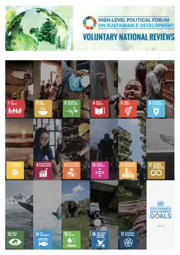 SDG Voluntary National Reviews