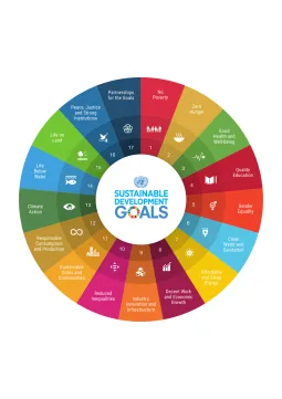 SDG indicator framework